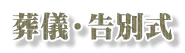 ���V�E���ʎ�